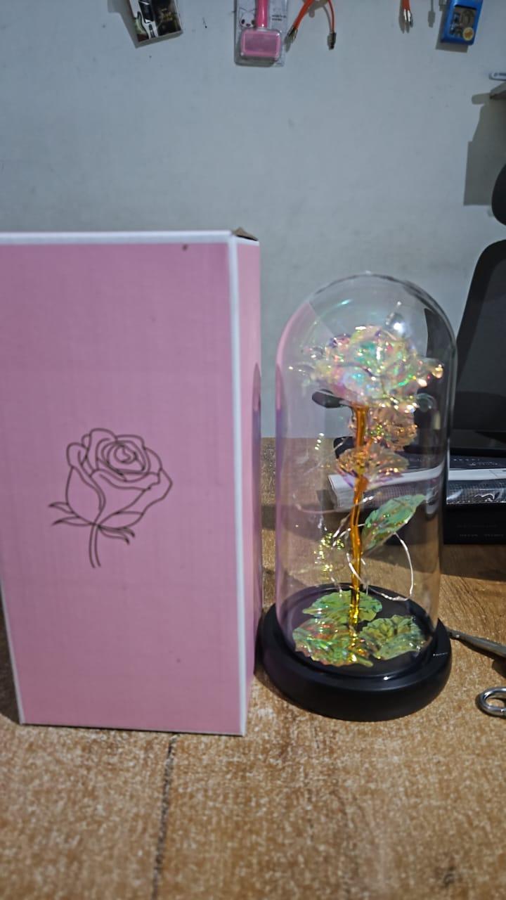 Ark of Oasis - Light Up Rose Flower